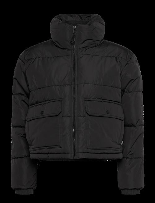 VANS | Mte Aubrey Primaloft Puffer | XS