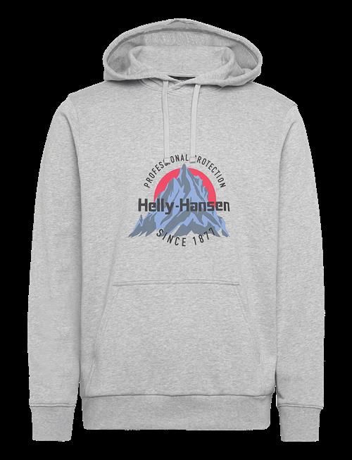 Helly Hansen | Core Graphic Hoodie | XL