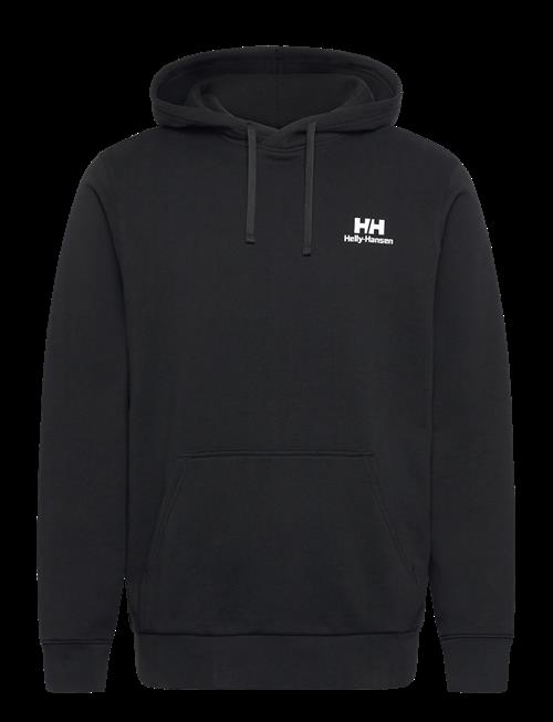 Helly Hansen | Core Graphic Hoodie | M