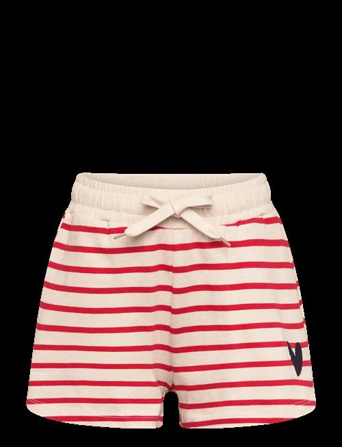 The New | Tnnil Shorts | 158/164