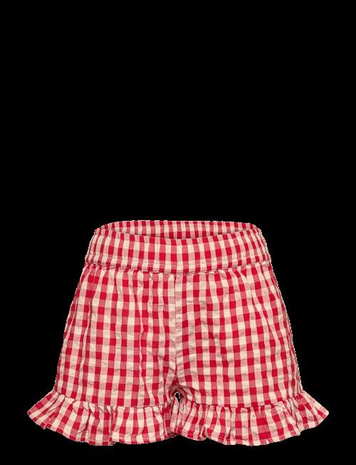 The New | Tnnally Shorts | 170/176
