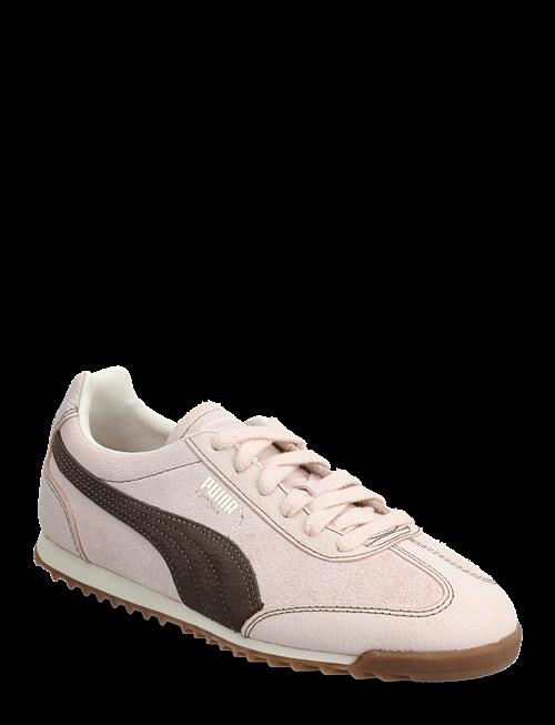 PUMA | Arizona Wine Club Wns | 42.5