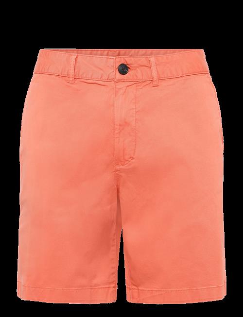 Lexington Clothing | Classic Cotton Twill Shorts | 29