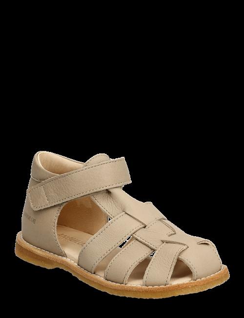 ANGULUS | Sandals - Flat  - Closed Toe | 21