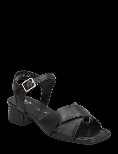 Clarks | Serina35 Cross D | 41