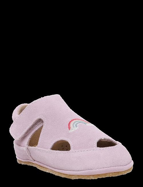 Wheat | Indoor Sandal Pax | 24