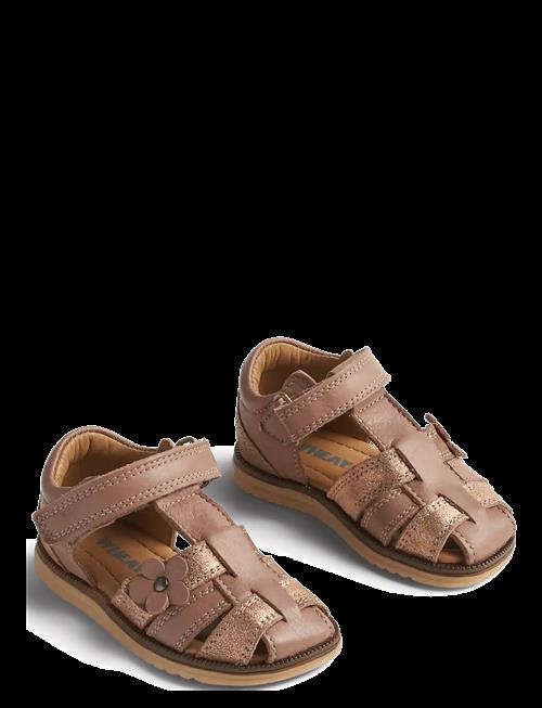 Wheat | Sandal Sky Flower | 25