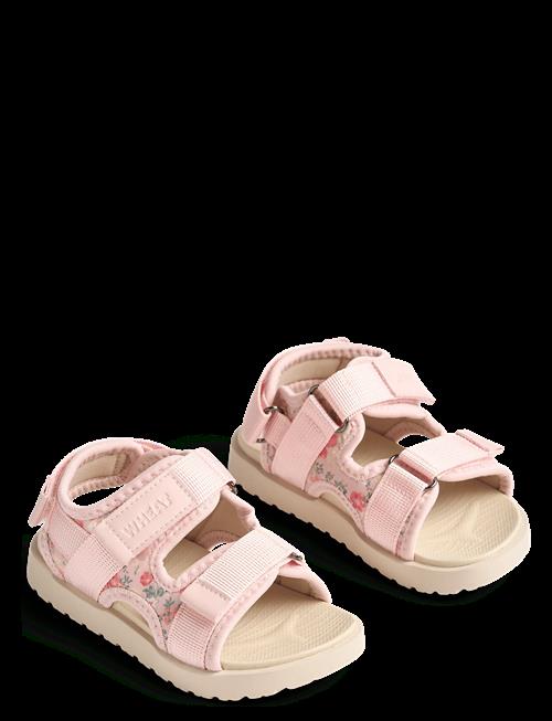 Wheat | Sandal Mandy | 25