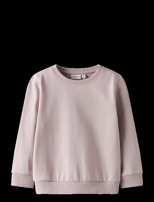 name it | Nmnseli Ls Swe Bru Noos | 92