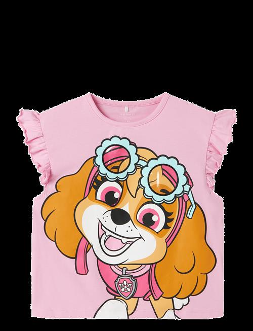 name it | Nmfmara Paw Capsl Nreg Top Box Cplg | 104