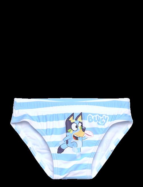 Bluey | Swimsuit | 110