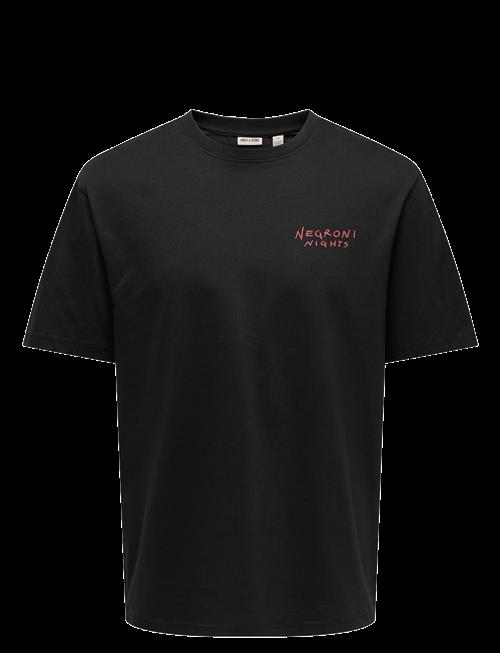 ONLY & SONS | Onsspritz Italy Rlx Ss Tee | S