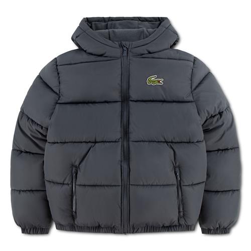 Lacoste Lcn Lacoste Core Puffer Jkt Lacoste Graphite Lacoste Graphite 122 cm  Grå  122 cm  Drenge, Piger
