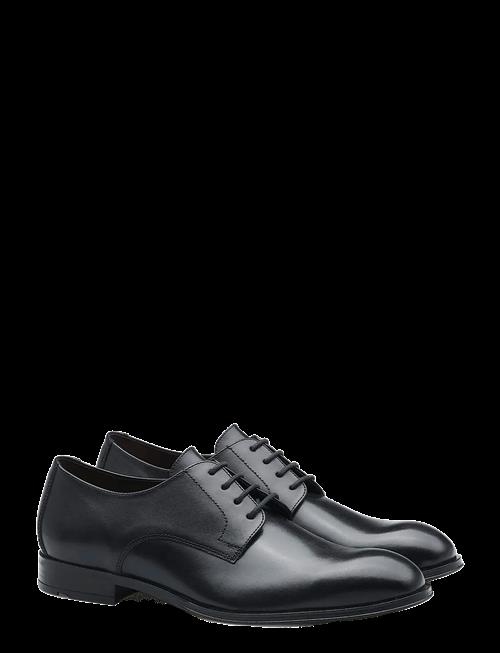 Lloyd | Core Plus 110 | 39
