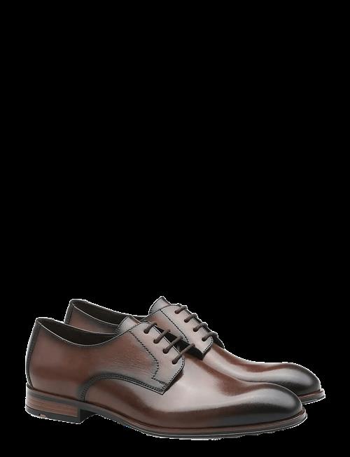 Lloyd | Core Plus 110 | 43