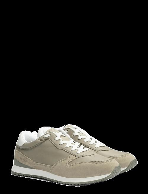 Lloyd | Swift | 44.5