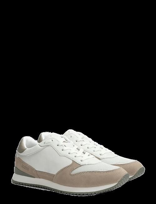 Lloyd | Swift | 43