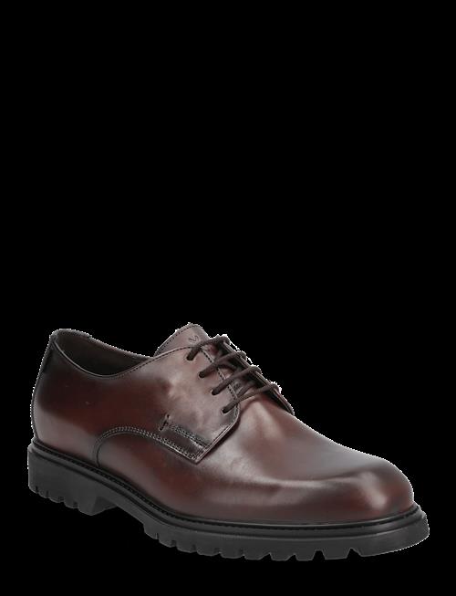 Lloyd | Select 117G | 42