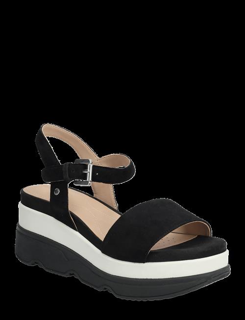 GEOX | D Gardenia C | 41