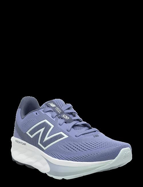 New Balance | New Balance Freshfoam 520 V9 | 40