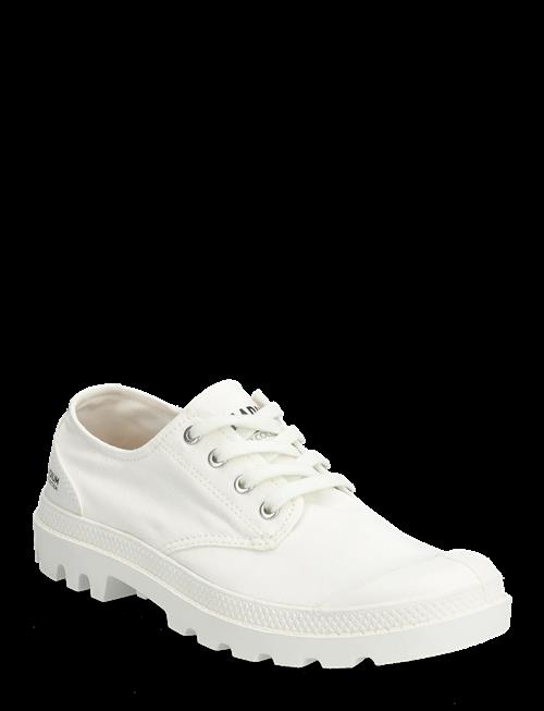 Palladium | Pampa Ox Organic Ii | 37