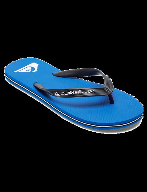Quiksilver | Molokai Core | 43