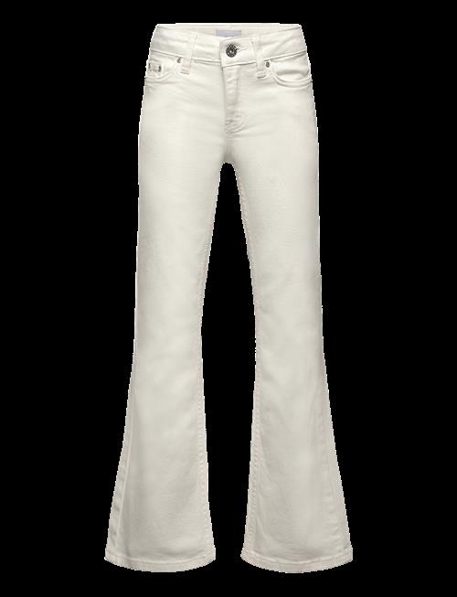 Grunt | Texas Broken White Bottoms | 164