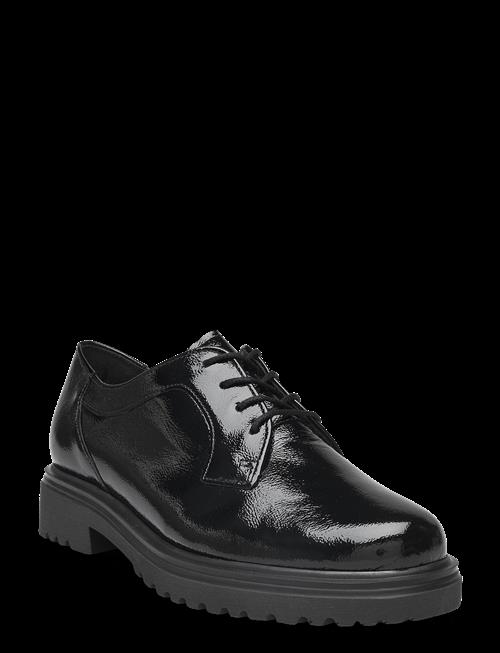 Gabor | Laced Shoe | 41