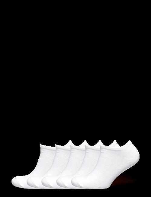 ZEBDIA | 5-Pk Tennis Footies | 43-46