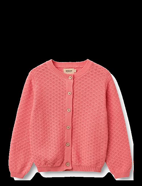 Wheat | Knit Cardigan Magnella | 140