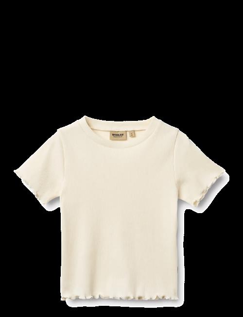 Wheat | Rib T-Shirt S/S Alicia | 116