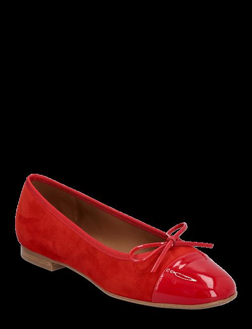 Billi Bi | Ballerina | 39