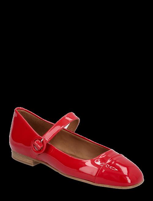 Billi Bi | Ballerina | 40.5