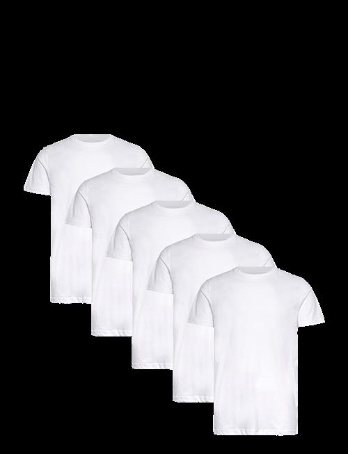 Claudio | Claudio 5-Pack T-Shirt Cotton | XL