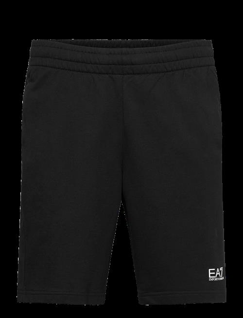 EA7 | Shorts | XL