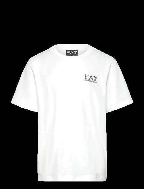 EA7 | T-Shirt | 104