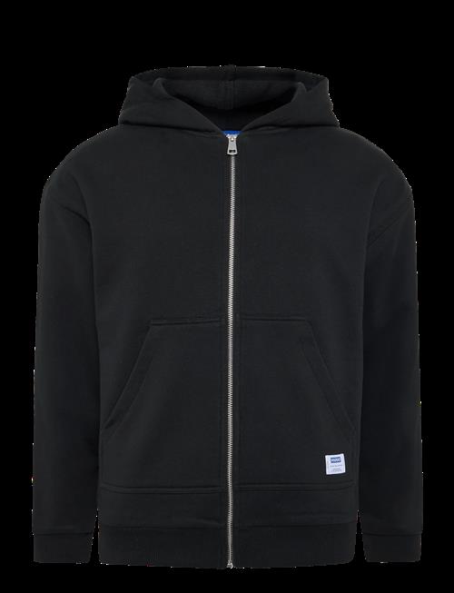 HUGO BLUE | Nestodi | L