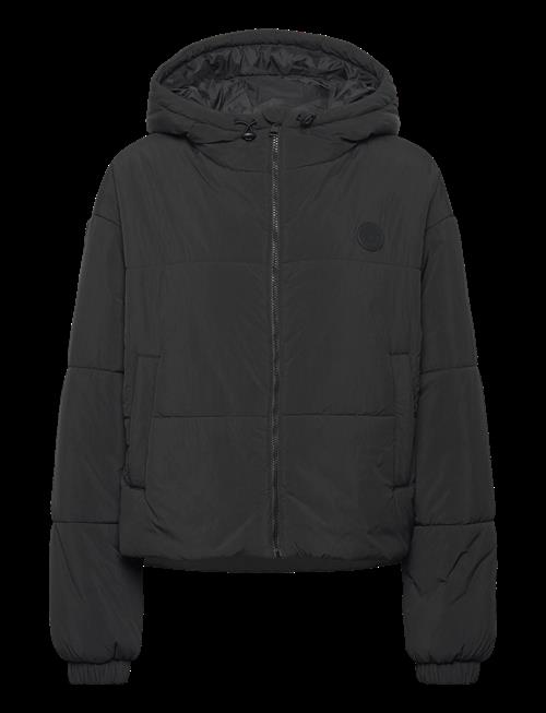 HUGO BLUE | Freya-1_B | XL