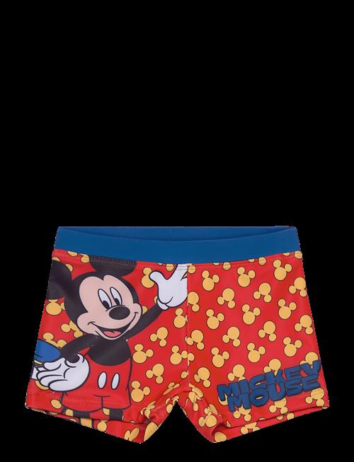 Disney | Swimsuit | 104