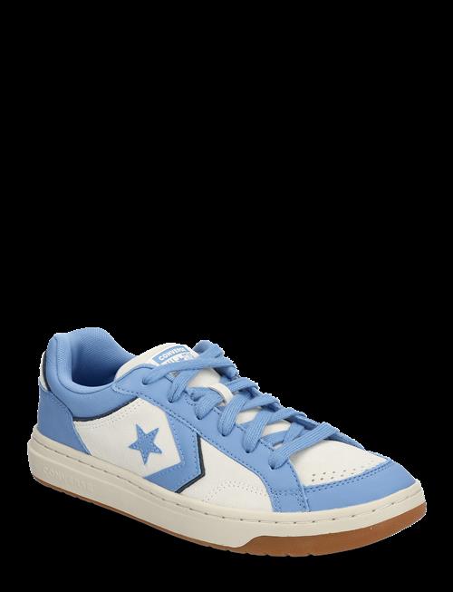 Converse | Pro Blaze Classic Ox Egret/Open Sky | 38.5