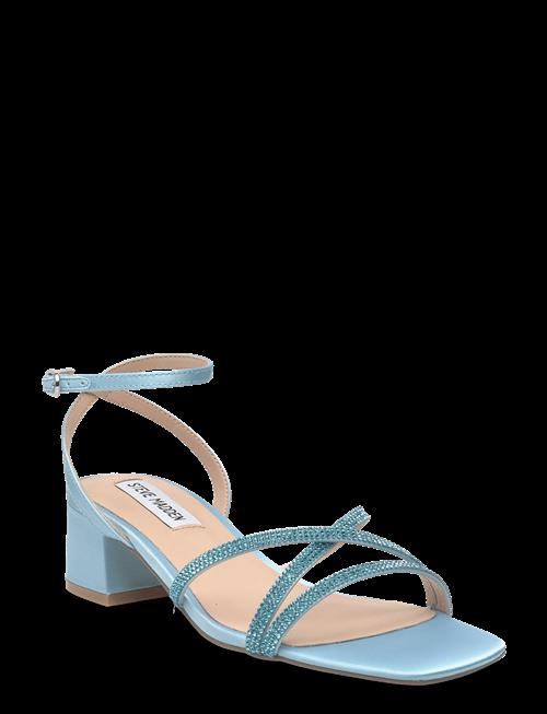 Steve Madden | Gabby | 41
