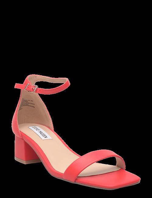 Steve Madden | Gena | 41