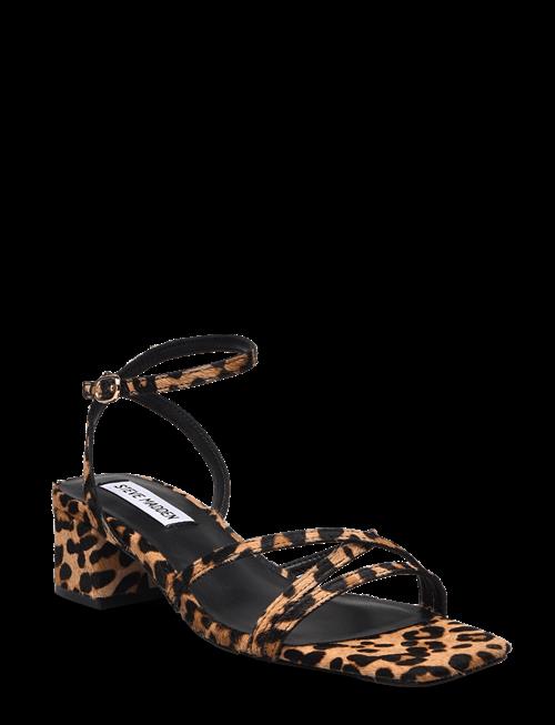 Steve Madden | Gabby-L Sandal | 37