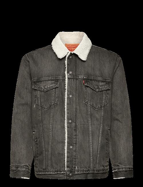 Levi's® | Relaxed Fit Sherpa Trkr Salt L | S