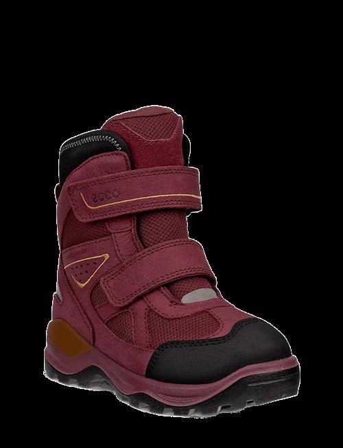 ECCO | Snow Mountain | 30