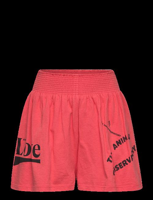 THE ANIMALS OBSERVATORY | Ostrich Kid Shorts Red | 10 Y