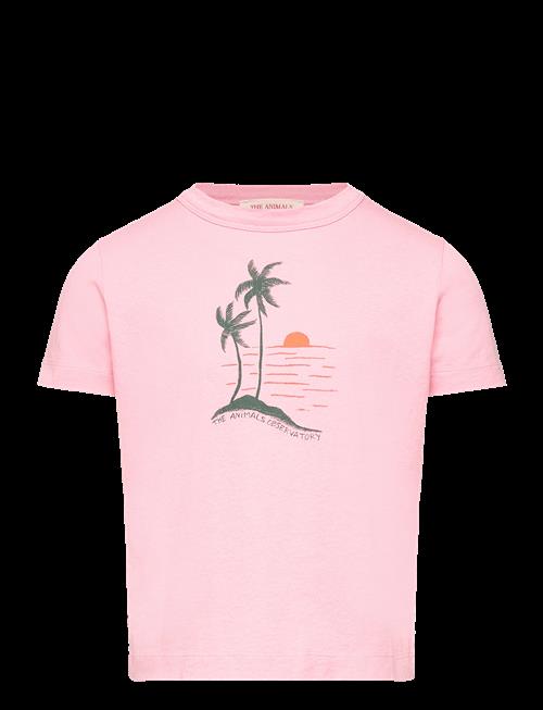 THE ANIMALS OBSERVATORY | Big Rooster Kid T-Shirt Pink 2Y | 4 Y