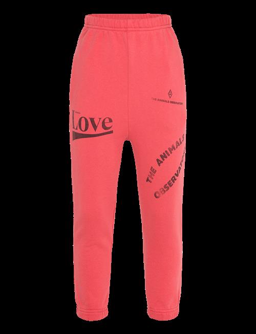 THE ANIMALS OBSERVATORY | Dromedary Kid Sweatpants Red | 6 Y