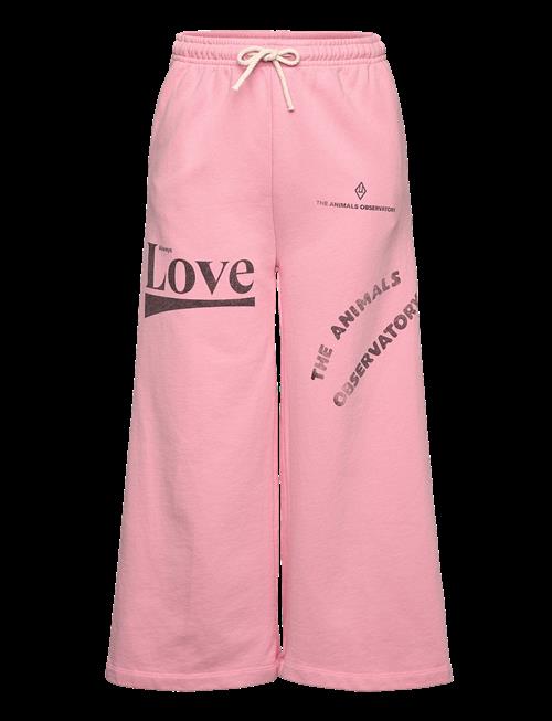 THE ANIMALS OBSERVATORY | Platypus Kid Sweatpants Pink | 6 Y