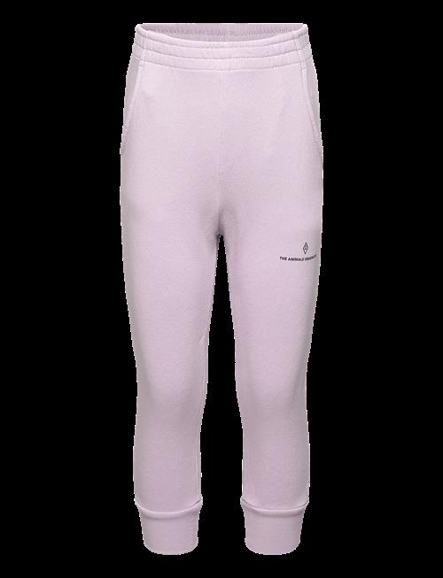 THE ANIMALS OBSERVATORY | Draco Kid Sweatpants Lavand | 8 Y